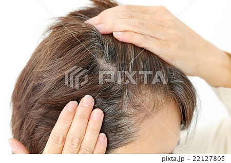 ミドル女性 白髪 ミドル女性 白髪 22127805