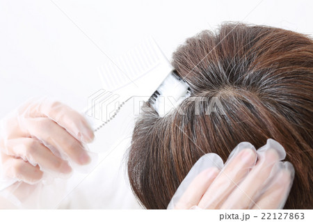 白髪染め　 22127863