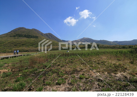 【九重山】タデ原湿原を散策 【九重山】タデ原湿原を散策 22128439