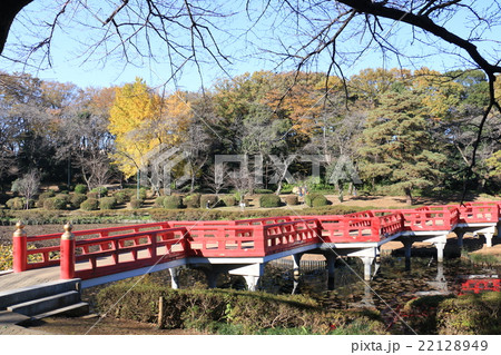 さいたま市岩槻区の岩槻城趾公園 22128949