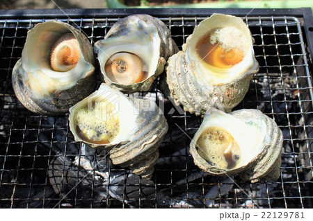 サザエのつぼ焼き 22129781