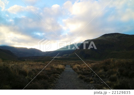 ニュージーランド トンガリロ国立公園 ニュージーランド トンガリロ国立公園 22129835