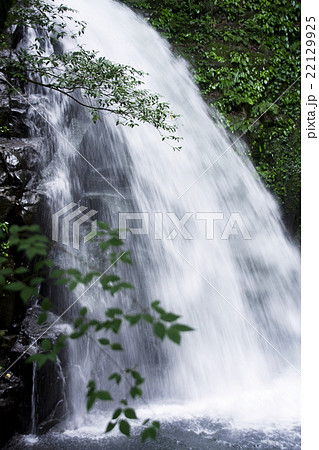 赤目四十八滝 22129925