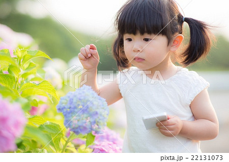 紫陽花キレイ♪ 紫陽花キレイ♪ 22131073