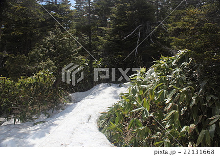 長野県御嶽山の残雪 長野県御嶽山の残雪 22131668
