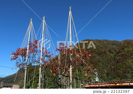 立山黒部アルペンルートの立山駅前の紅葉 立山黒部アルペンルートの立山駅前の紅葉 22132397