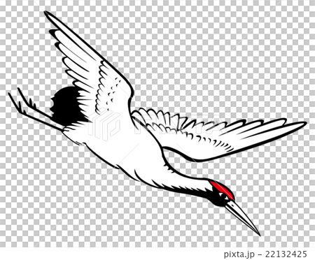 飛揚的鶴(Flying Crane,Grus japonensis) 22132425