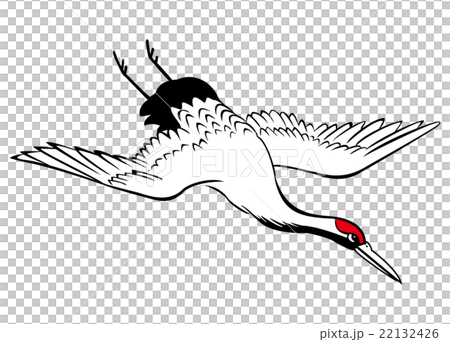 飛揚的白鶴(Flying Crane,Grus japonensis) 22132426