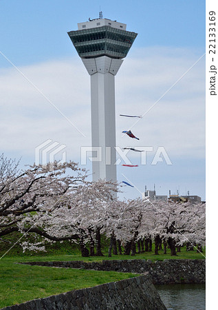 春の五稜郭公園 22133169