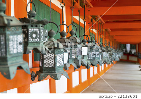 奈良県奈良市春日野町の春日大社 万燈籠 奈良県奈良市春日野町の春日大社 万燈籠 22133601