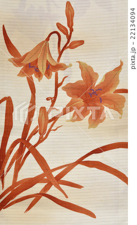 日本の紋様　絹織物　染め物　古布　絽　和柄 22134094