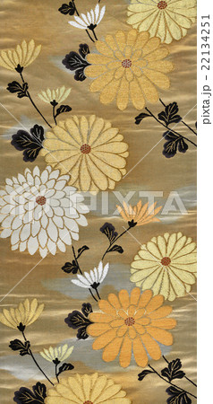 日本の紋様 絹織物 染め物 古布 菊の花 和柄 日本の紋様 絹織物 染め物 古布 菊の花 和柄 22134251