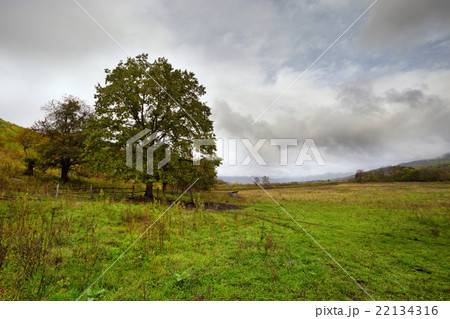 Autumn landscape of rural location Autumn landscape of rural location 22134316