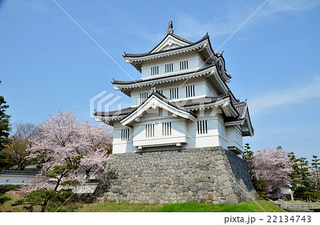 忍城と桜 22134743