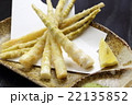筍の天ぷら 22135852