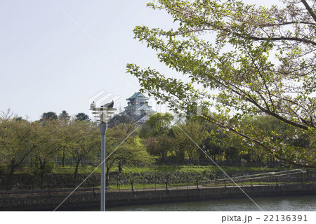 大阪城と鳩 22136391