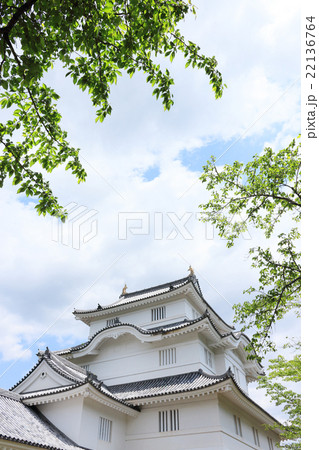 大多喜城 22136764