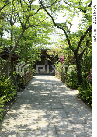 證誠寺(5月) 22136766