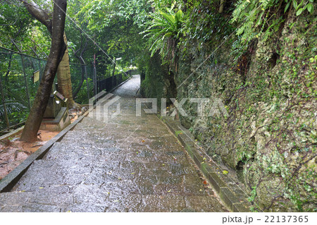 雨に濡れた真玉道、島添坂(シマシービラ)、首里金城町、沖縄 雨に濡れた真玉道、島添坂(シマシービラ)、首里金城町、沖縄 22137365