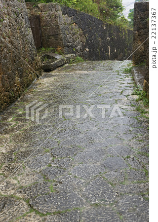 雨に濡れた古道、首里金城町の石畳道、沖縄（縦構図） 22137367