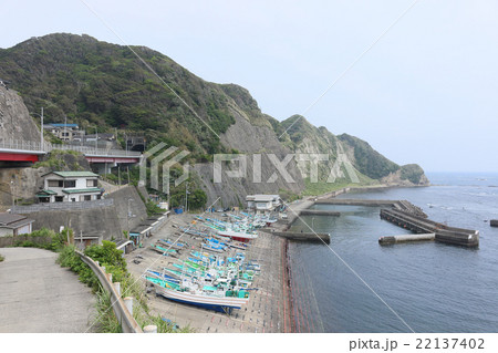 大沢漁港（勝浦市） 22137402