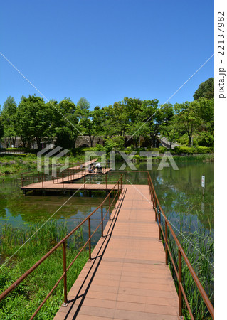 もえぎ野公園 もえぎ野公園 22137982