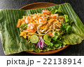 パッタイ　タイの焼きそば　 Pad-thai Thai noodle 22138914