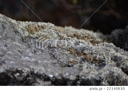 鬼押出し園にて 22140630