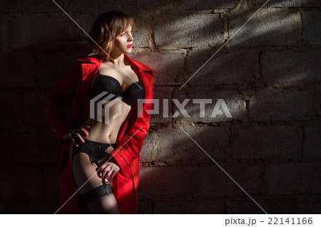 Attractive woman alluring in lingerie and coat. Attractive woman alluring in lingerie and coat. 22141166