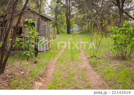 forest passes through the old  house forest passes through the old  house 22142019
