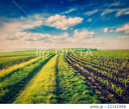 Rolling fields of Moravia Rolling fields of Moravia 22142998