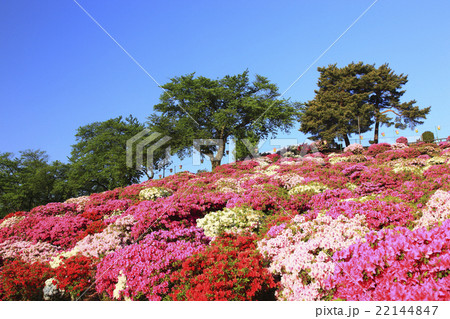 西山公園 22144847