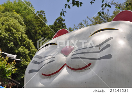 猫神社 猫神社 22145585