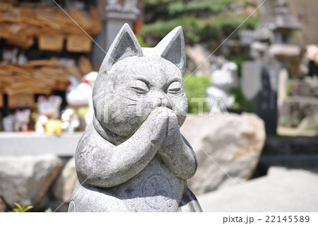 猫神社 猫神社 22145589