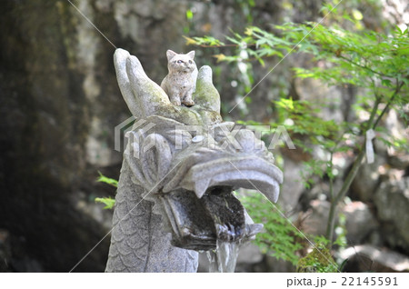 猫神社 猫神社 22145591