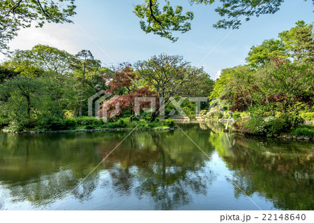 東京都港区の有栖川宮記念公園 22148640