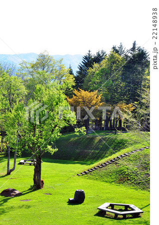 道民の森 22148938