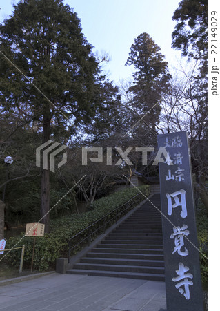 ３月の円覚寺 22149029