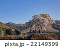 群馬県沼田市上発知のシダレザクラ 22149399