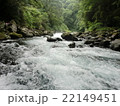 清流 22149451