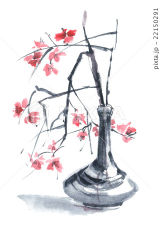 Blossom sakura in a vase 22150291