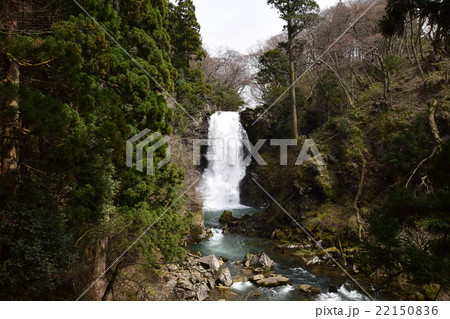 奈曽の白滝 奈曽の白滝 22150836
