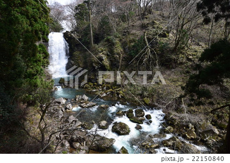 奈曽の白滝 22150840