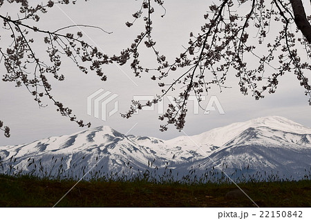 鳥海山 鳥海山 22150842