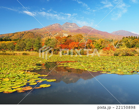いもり池から紅葉の妙高山の写真素材