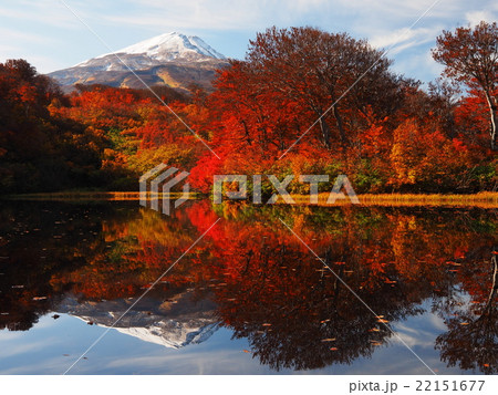 紅葉の善神池から冠雪した鳥海山 紅葉の善神池から冠雪した鳥海山 22151677