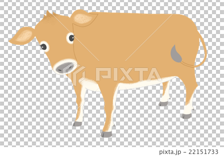 ジャージー牛のイラスト素材