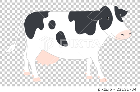 ホルスタイン牛のイラスト素材