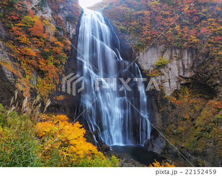 紅葉の安の滝 22152459