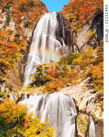 紅葉の安の滝 22152464